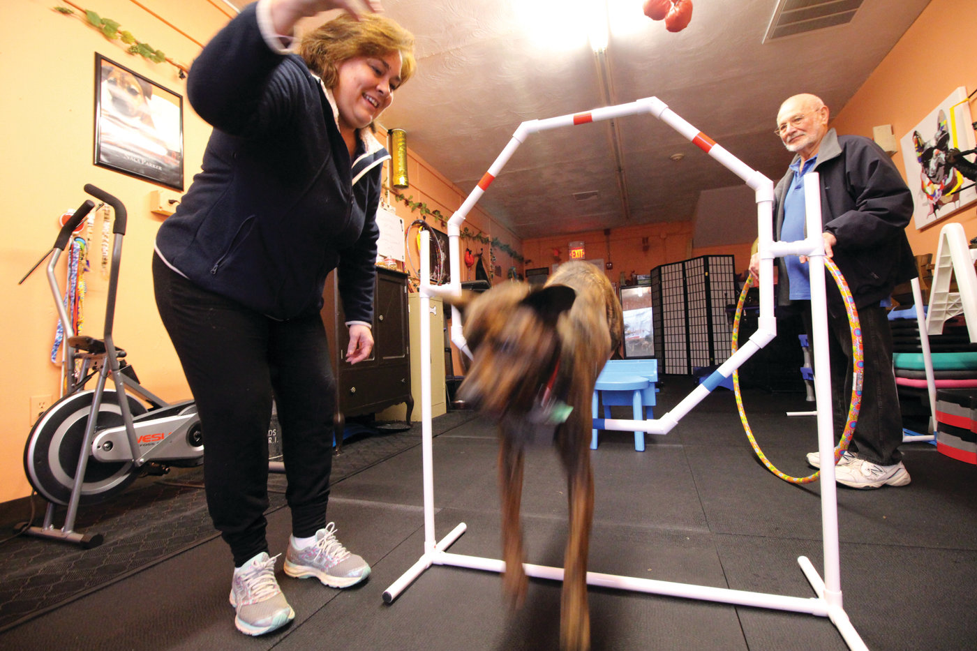 GOING THROUGH HOOPS: Deb Quattrini gets Hunter to leap through a hoop at the Ruff Wrangler Canine Workout Center in Conimicut.